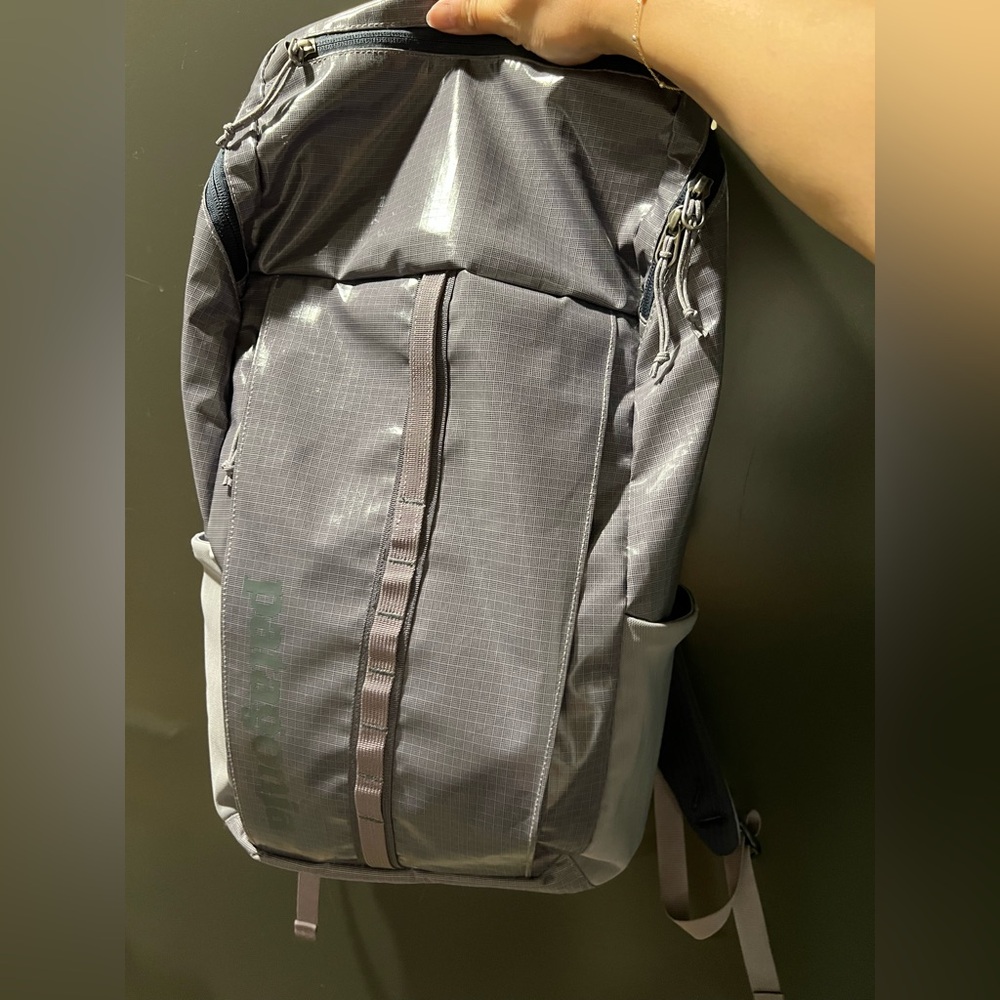 Patagonia Blackhole 25L Backpack Light Purple